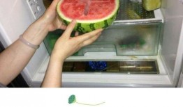 黑料不打样 52爆料吃瓜网 今日吃瓜官网,黑料不打样52爆料，今日吃瓜官网独家爆料来袭！